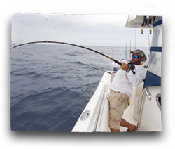 Sport fishing action on board our charter boat